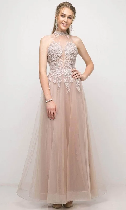 Cinderella Divine UT252 - Tulle High Neck Embroidered Gown